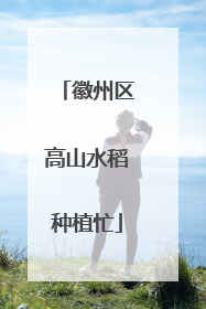 徽州区高山水稻种植忙