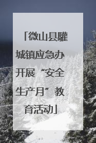 微山县驩城镇应急办开展“安全生产月”教育活动