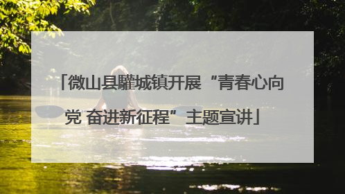 微山县驩城镇开展“青春心向党 奋进新征程”主题宣讲