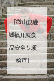 微山县驩城镇开展食品安全专项检查