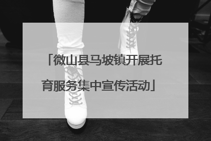 微山县马坡镇开展托育服务集中宣传活动