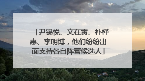 尹锡悦、文在寅、朴槿惠、李明博，他们纷纷出面支持各自阵营候选人