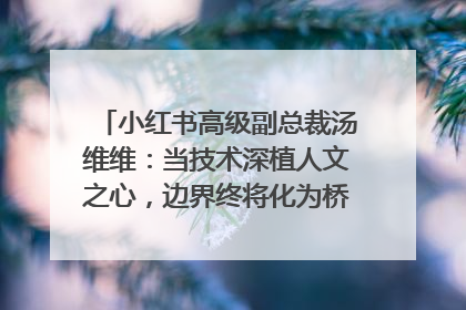 小红书高级副总裁汤维维：当技术深植人文之心，边界终将化为桥梁｜聚焦2025文化强国建设高峰论坛