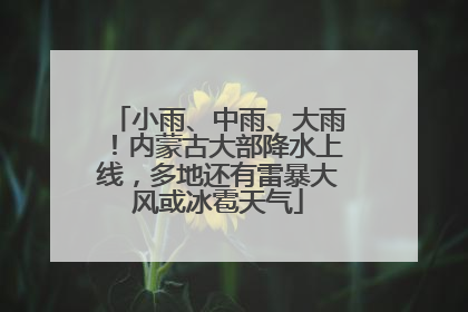 小雨、中雨、大雨！内蒙古大部降水上线，多地还有雷暴大风或冰雹天气
