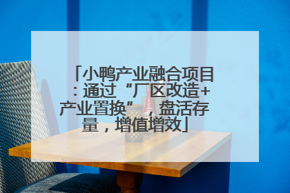 小鸭产业融合项目：通过“厂区改造+产业置换”，盘活存量，增值增效