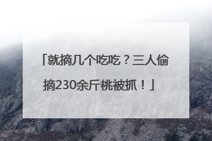 就摘几个吃吃？三人偷摘230余斤桃被抓！