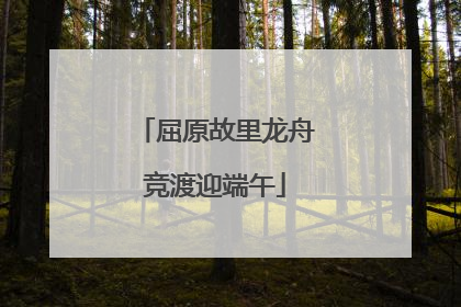 屈原故里龙舟竞渡迎端午