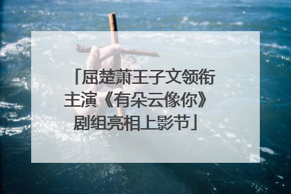 屈楚萧王子文领衔主演《有朵云像你》剧组亮相上影节