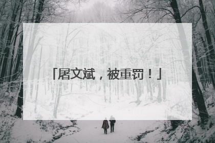屠文斌，被重罚！