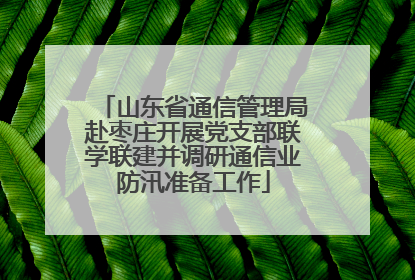 山东省通信管理局赴枣庄开展党支部联学联建并调研通信业防汛准备工作