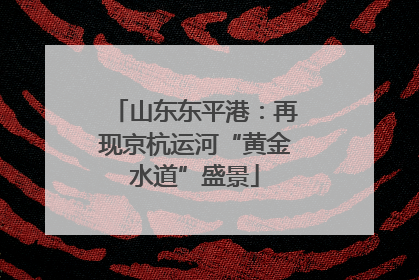 山东东平港：再现京杭运河“黄金水道”盛景