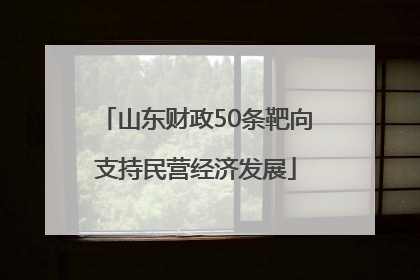 山东财政50条靶向支持民营经济发展