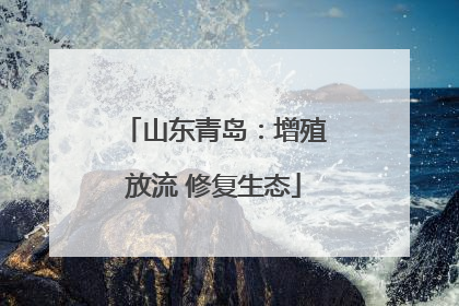 山东青岛：增殖放流 修复生态