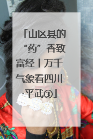 山区县的“药”香致富经丨万千气象看四川·平武③