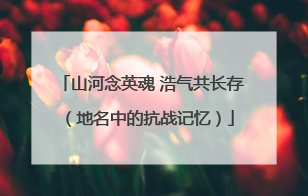 山河念英魂 浩气共长存（地名中的抗战记忆）