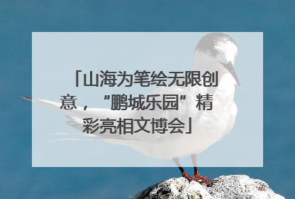 山海为笔绘无限创意，“鹏城乐园”精彩亮相文博会