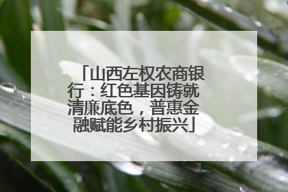 山西左权农商银行：红色基因铸就清廉底色，普惠金融赋能乡村振兴