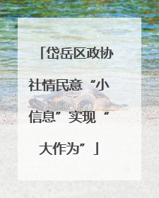 岱岳区政协社情民意“小信息”实现“大作为”