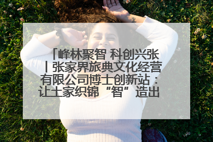 峰林聚智 科创兴张丨张家界旅典文化经营有限公司博士创新站：让土家织锦“智”造出非遗新传奇