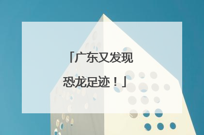 广东又发现恐龙足迹！