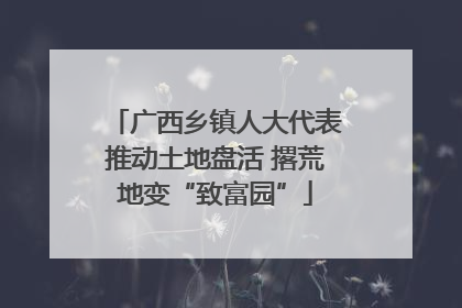 广西乡镇人大代表推动土地盘活 撂荒地变“致富园”