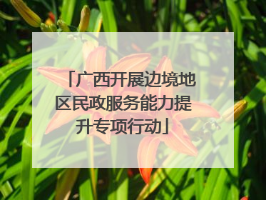广西开展边境地区民政服务能力提升专项行动