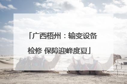 广西梧州：输变设备检修 保障迎峰度夏