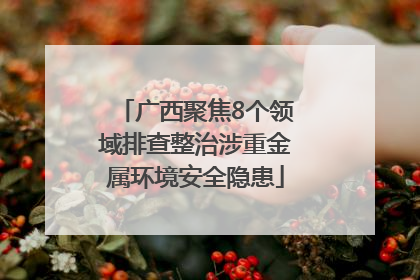广西聚焦8个领域排查整治涉重金属环境安全隐患