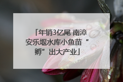 年销3亿尾 南漳安乐堰水库小鱼苗“孵”出大产业