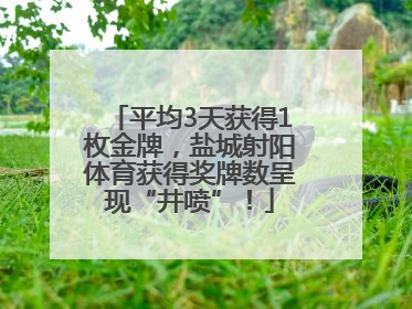 平均3天获得1枚金牌，盐城射阳体育获得奖牌数呈现“井喷”！