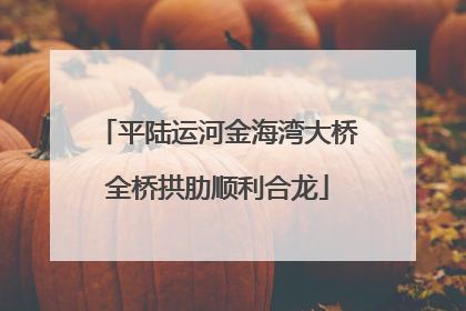 平陆运河金海湾大桥全桥拱肋顺利合龙