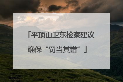 平顶山卫东检察建议确保“罚当其错”