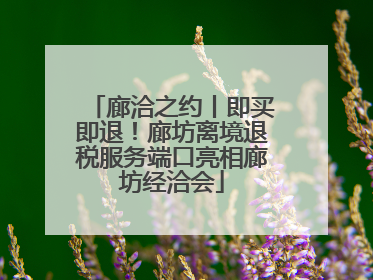 廊洽之约丨即买即退！廊坊离境退税服务端口亮相廊坊经洽会