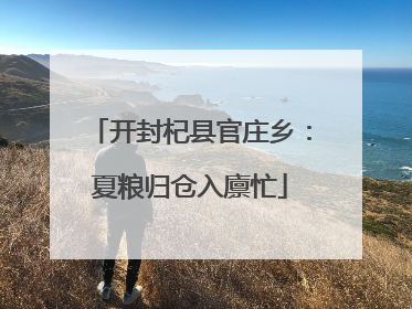 开封杞县官庄乡：夏粮归仓入廪忙