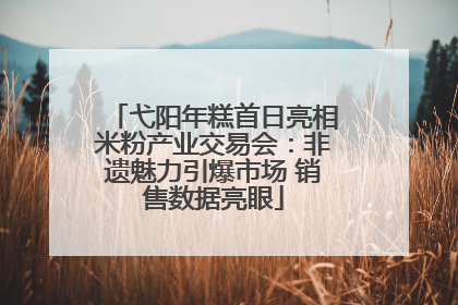 弋阳年糕首日亮相米粉产业交易会：非遗魅力引爆市场 销售数据亮眼