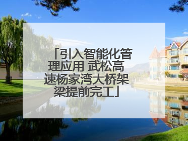 引入智能化管理应用 武松高速杨家湾大桥架梁提前完工