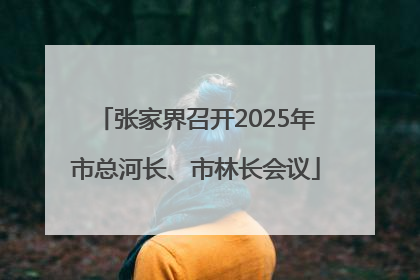 张家界召开2025年市总河长、市林长会议