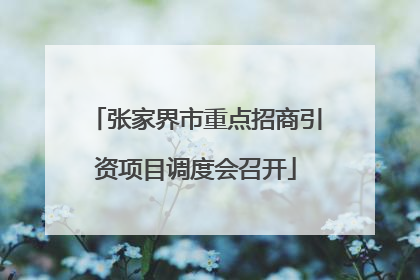张家界市重点招商引资项目调度会召开