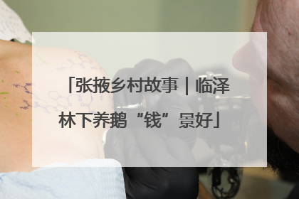 张掖乡村故事｜临泽林下养鹅“钱”景好
