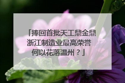 捧回首批天工鼎金鼎 浙江制造业最高荣誉何以花落温州？