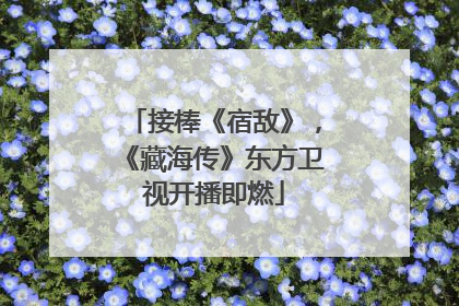 接棒《宿敌》，《藏海传》东方卫视开播即燃
