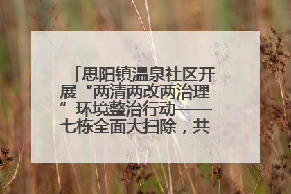思阳镇温泉社区开展“两清两改两治理”环境整治行动——七栋全面大扫除，共建洁净家园