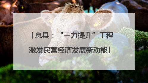 息县：“三力提升”工程 激发民营经济发展新动能