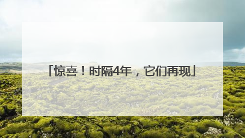 惊喜！时隔4年，它们再现