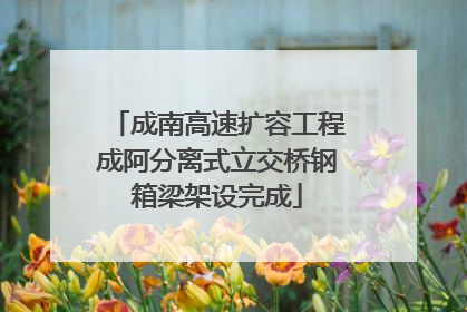 成南高速扩容工程成阿分离式立交桥钢箱梁架设完成