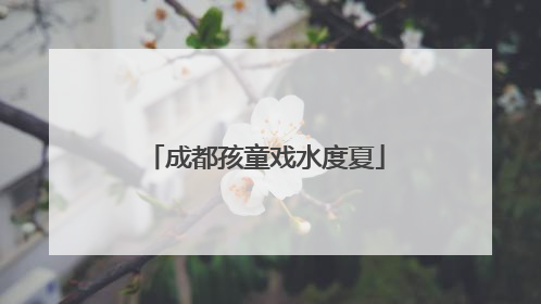 成都孩童戏水度夏