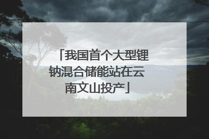 我国首个大型锂钠混合储能站在云南文山投产