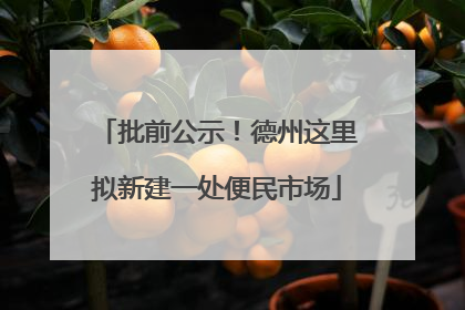 批前公示！德州这里拟新建一处便民市场