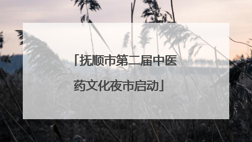 抚顺市第二届中医药文化夜市启动