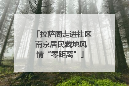 拉萨周走进社区 南京居民藏地风情“零距离”
